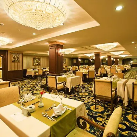 Latanya Palm & Antalya